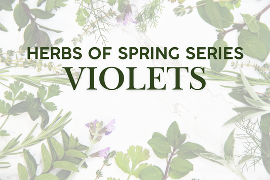 Herbs of Spring Series: Violets