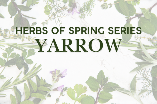 Herbs of Spring Series: Yarrow