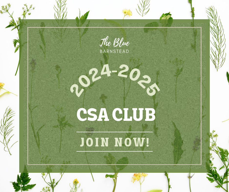 2024-2025 CSA Club Installment Plan