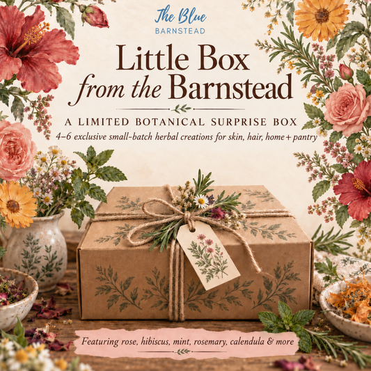 *Little Box from the Barnstead No. 1