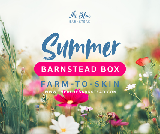 Summer Barnstead Box (Pre-Order)