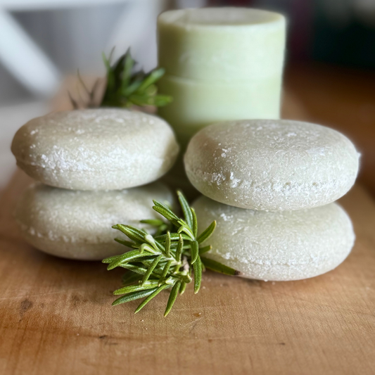 Shampoo & Condtioner Bars